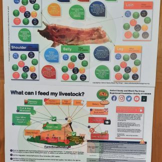 OSBPG Pork Nutrition & Feeding Livestock Posters (A2)