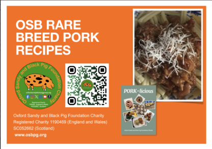 OSB Pork & Pasta Bolognese