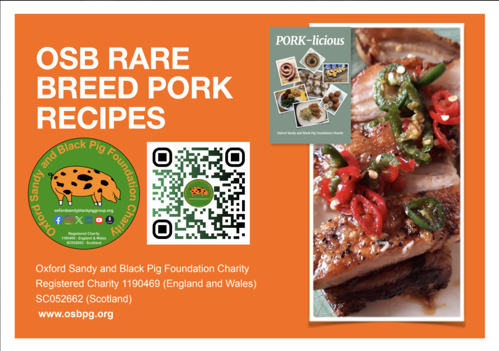 OSBPG OSB Pork Recipe Cards (Free)