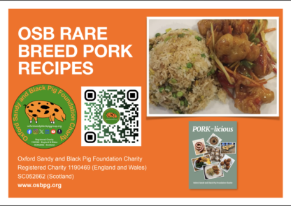 Hot & Sour OSB Pork