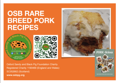 OSB Pork Mince Lasgane