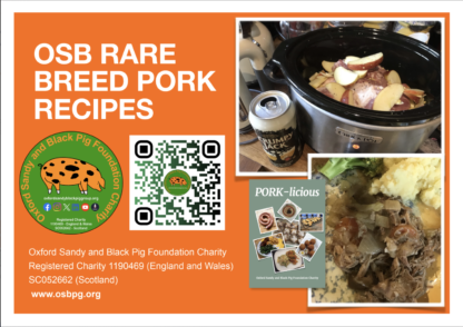Slow Cooked OSB leg or Shoulder with Cider