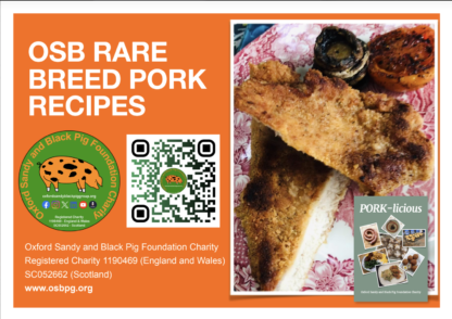 Breaded OSB Pork Loin
