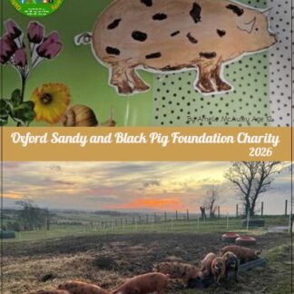 Oxford Sandy and Black Pig Foundation Charity Calendar 2026 (A3)