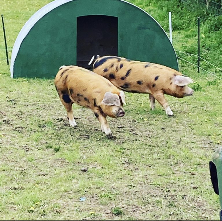 C76D581E 9F58 466D 9233 EC0259B142C0 768x766