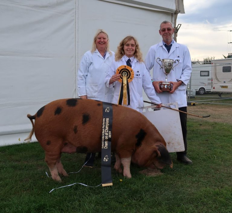 Oldlands Gloria 8 Little Gen Champion of Champions 768x704