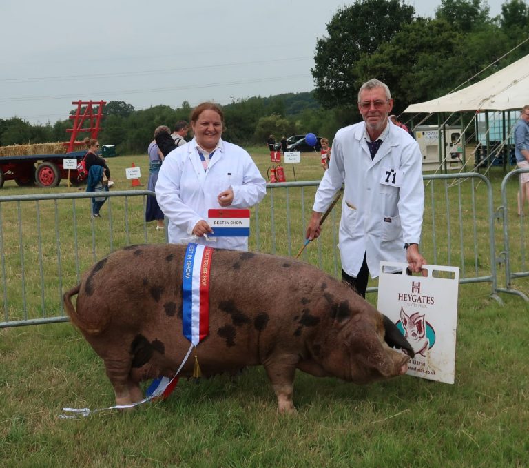 Oldlands Iris 5 Supreme Champion Gloucester and Hanbury 768x679