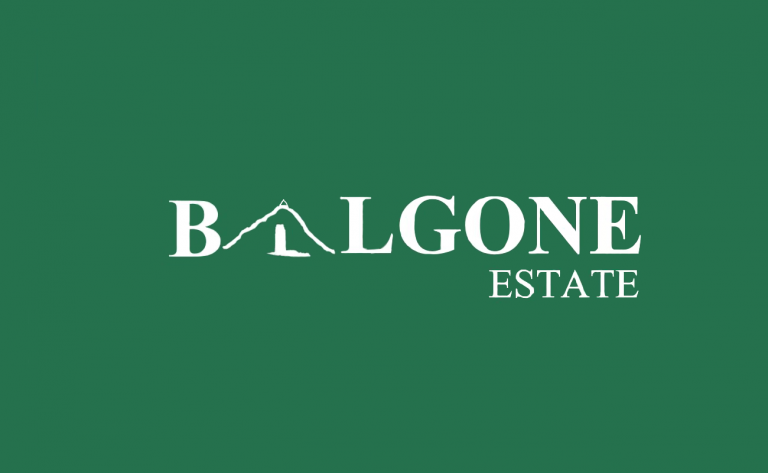 Balgone times new roman NEW 768x473