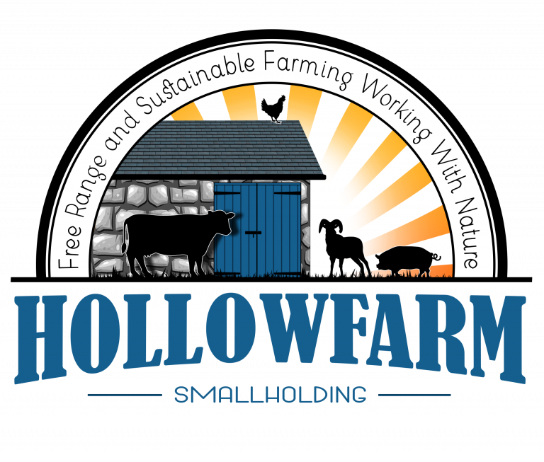 Hollowfarm logo NO BACKGROUND 768x653