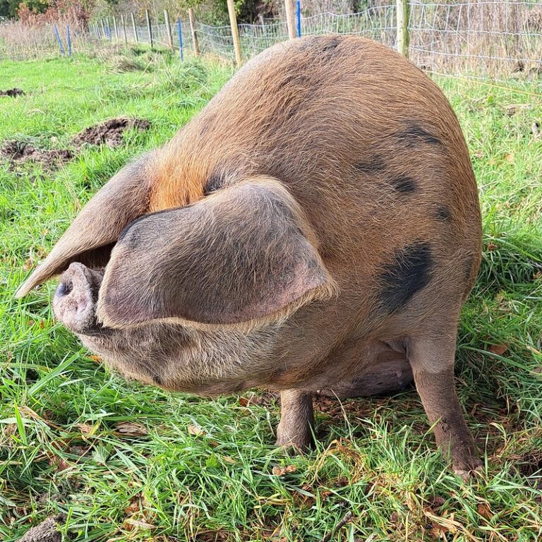 53318598950 455b9d9509 c 768x768