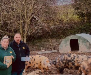 pig award pic 1 300x247