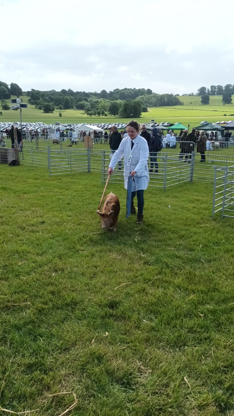 ff6d8de5 1ca8 4d20 93af 4e439fa6e1c6 768x1365