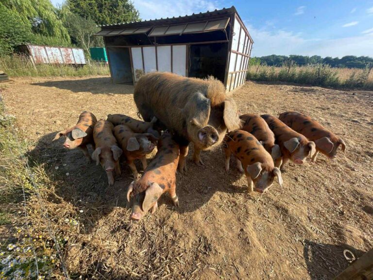 drewcoulson3 768x576