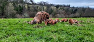 421932391 6939443059444779 816524486981281769 n 300x135